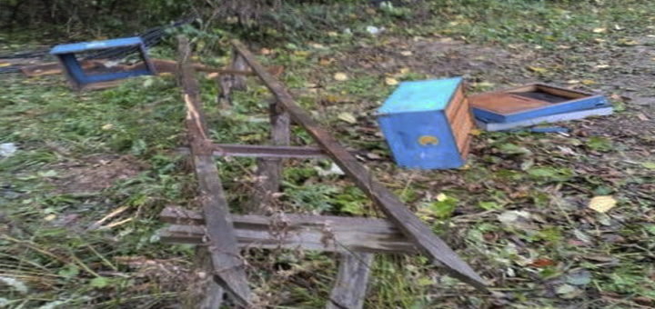 Pcele-medo-dva Koje kriterijume morate ispuniti kako biste naplatiti štetu od upada medveda u pčelinjake (VIDEO)