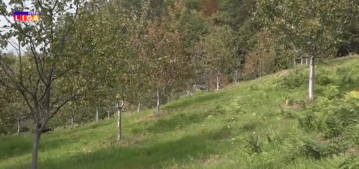 il-poljoprivreda Ministarstvo poljoprivrede raspisalo poziv za davanja po hektaru