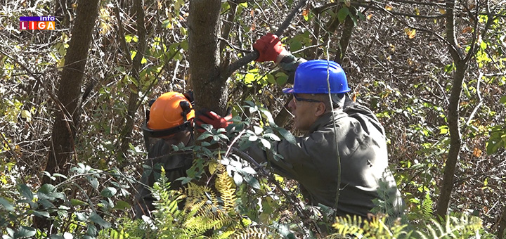 il-vojska1 Radovi na raskresivanju trase elektromreže u Ivanjici u punom jeku (VIDEO)