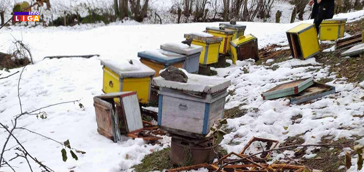 IL-Kosnice-NIkacevici-1 U Međurečju kod Ivanjice mečke došle do samog asfalta (FOTO)