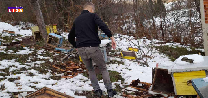 IL-Mecke-u-Nikacevicima- U Međurečju kod Ivanjice mečke došle do samog asfalta (FOTO)