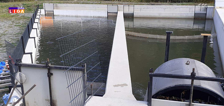 IL-ribnjak-Graovac-Studenica-1 Iz ribnjaka na kućnu adresu - poručite svežu pastrmku