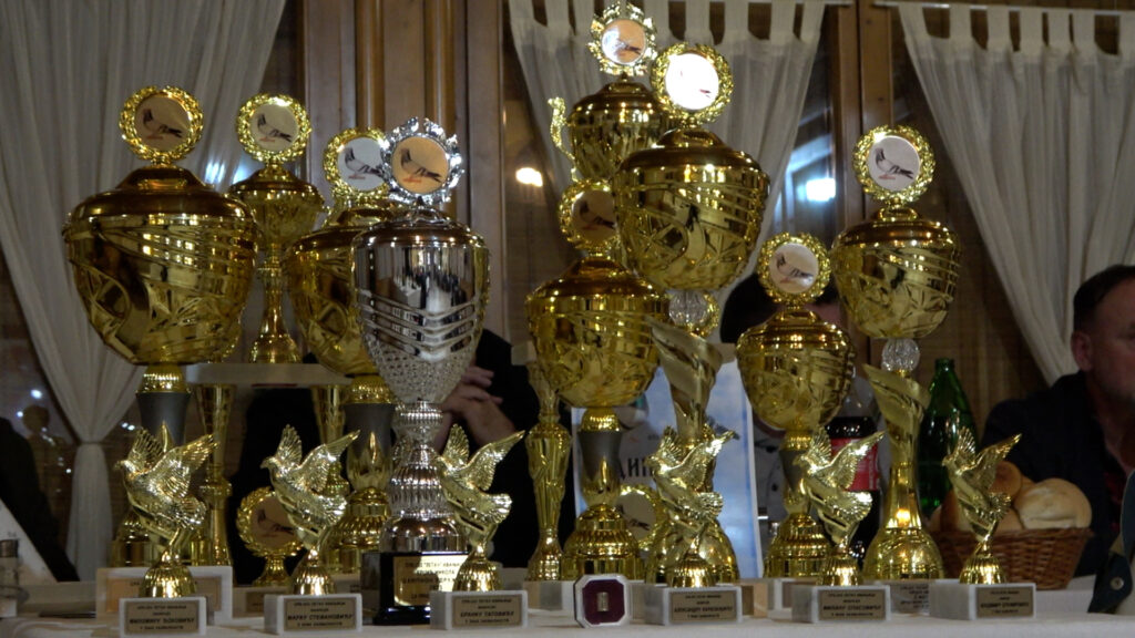 00102.MTS_.00_00_07_10.Still001-1024x576 Nagrade i priznanja za najbolje golubare Ivanjice (VIDEO)