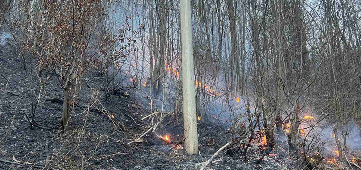 IL-Pozar-Opaljenik-1 Požar u Opaljeniku kod Ivanjice