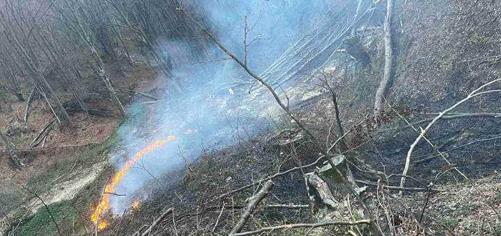 IL-Pozar-Opaljenik-2 Požar u Opaljeniku kod Ivanjice