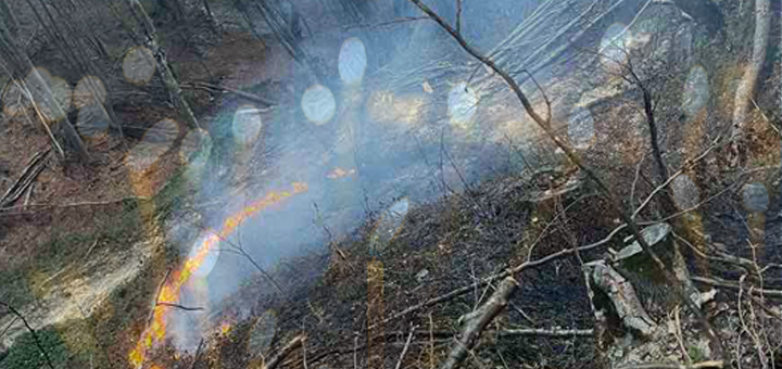 IL-Pozar-MZ-Srednja-reka- Ivanjica - Gorela šuma u okolini groblja