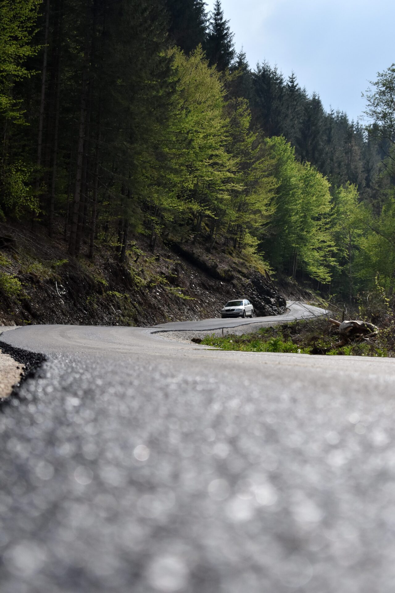 IL-Put-Vucak-1 Uz muziku, pesmu, pečenje i rakiju Vučačani proslavili prve kilometre asfalta u svom selu (VIDEO)