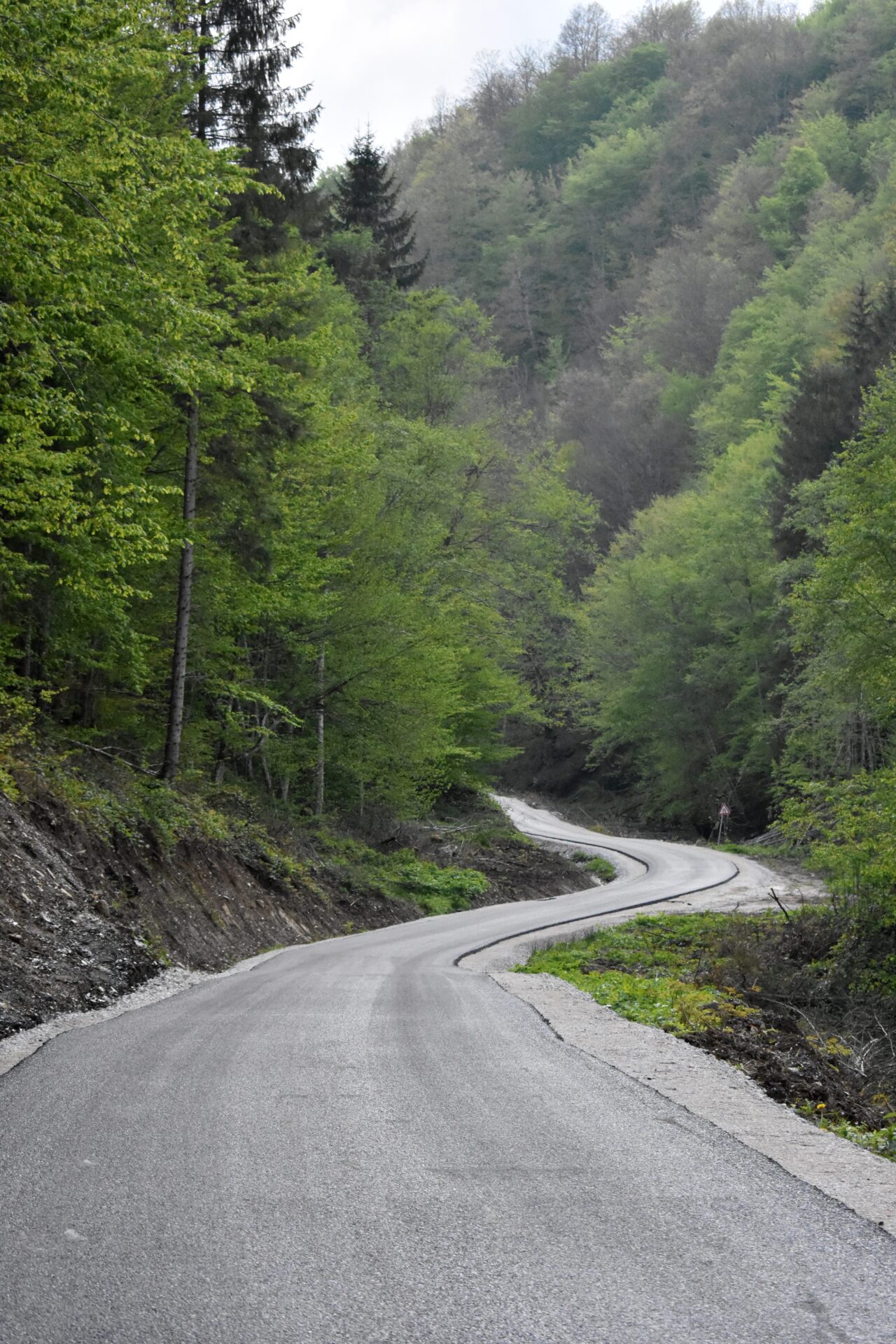 IL-Put-Vucak-2 Uz muziku, pesmu, pečenje i rakiju Vučačani proslavili prve kilometre asfalta u svom selu (VIDEO)