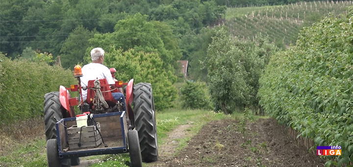 il-malinari- Malinari na mukama - Cena neizvesna, a radnika nema (VIDEO)