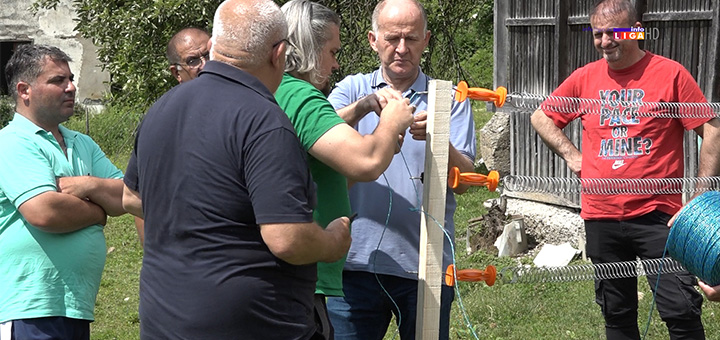il-slika1-1 Inovativan način da zaštitite svoje pčelinjake od medveda (VIDEO)