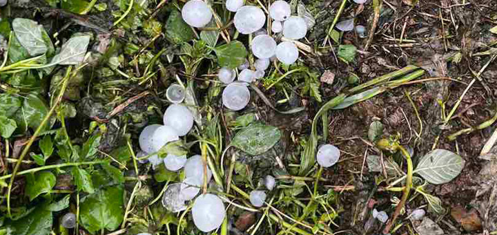 IL-Grad-tri Olujno nevreme praćeno gradom zahvatilo nekoliko sela u Ivanjici