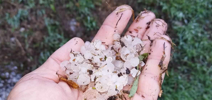 IL-Nevreme-Ivanjica-2 Nevreme koje je zahvatilo deo ivanjičke opštine opustošilo zasade malina, šljiva, krompira...
