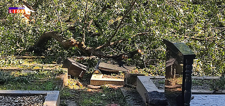 il-spomenik2 Na Palibačkom groblju izlomljeno na desetine spomenika (VIDEO)