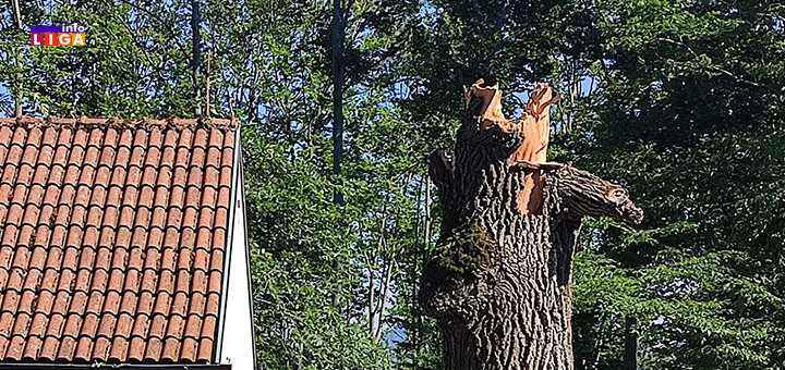 il-spomenik3 Na Palibačkom groblju izlomljeno na desetine spomenika (VIDEO)