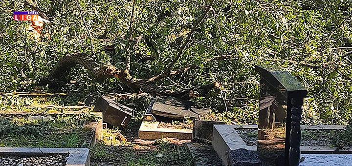 il-spomenik4 Na Palibačkom groblju izlomljeno na desetine spomenika (VIDEO)