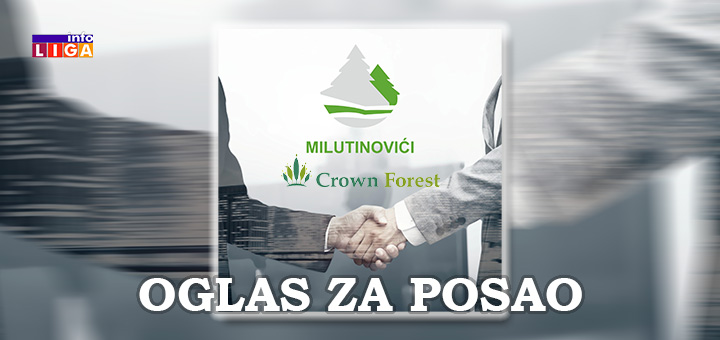 IL-oglas-za-posao-Milutinovici-Crown-Forest Postanite rukovodilac proizvodnje u uspešnoj drvnoj industriji