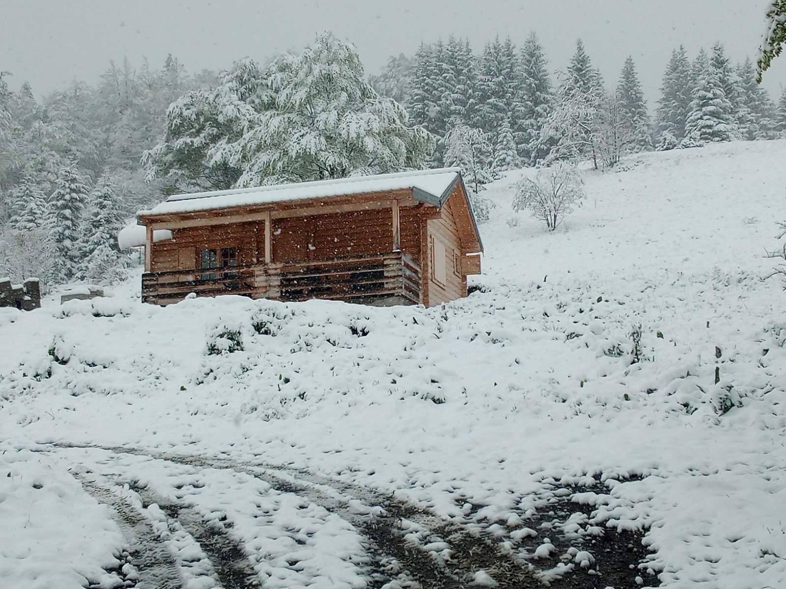 480098d4-b7de-4611-aaa4-109d931b2b32 Sneg zabeleo Goliju usred maja (FOTO)