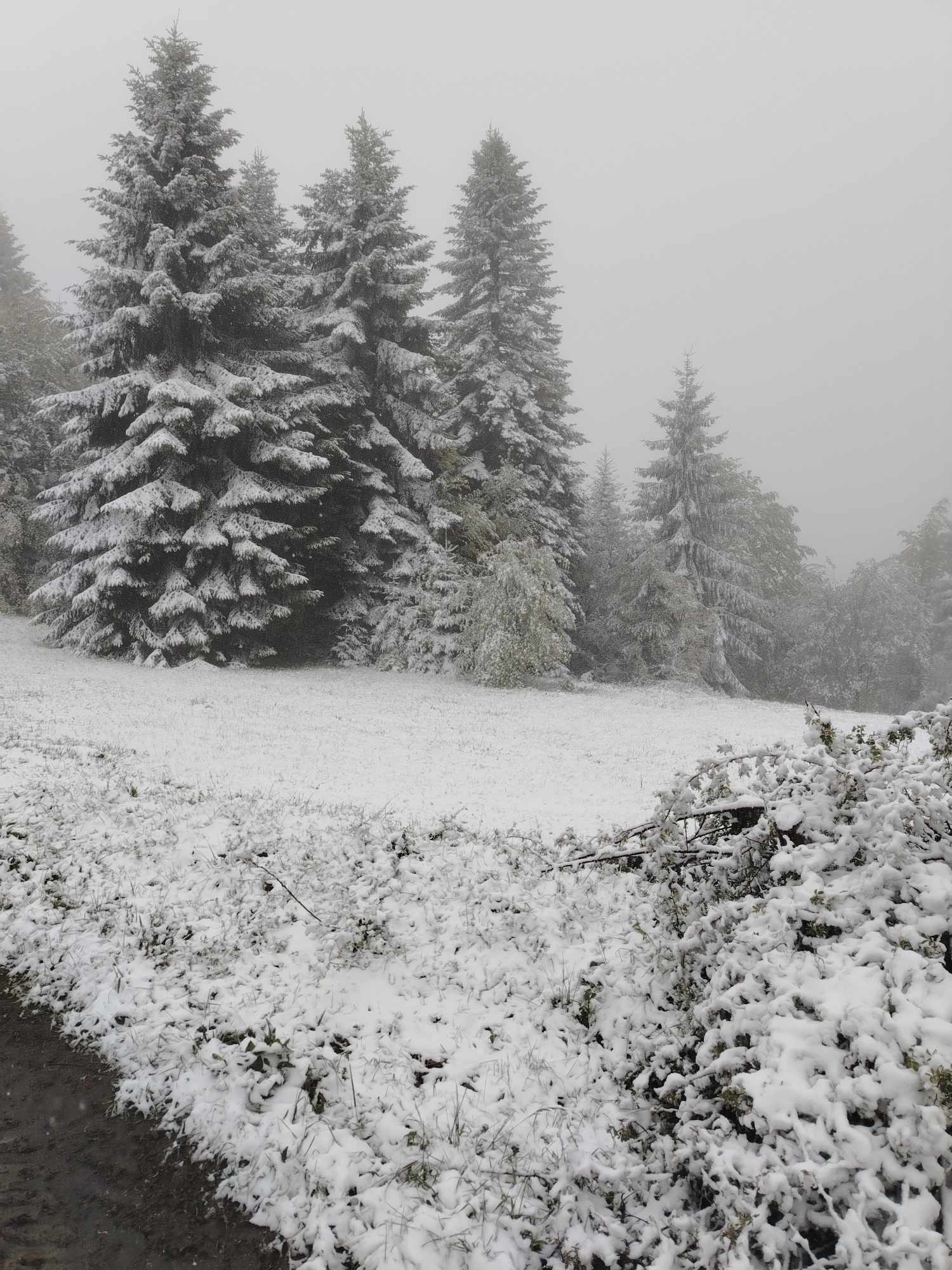 494812996_671741968944689_6372801076528179270_n Sneg zabeleo Goliju usred maja (FOTO)