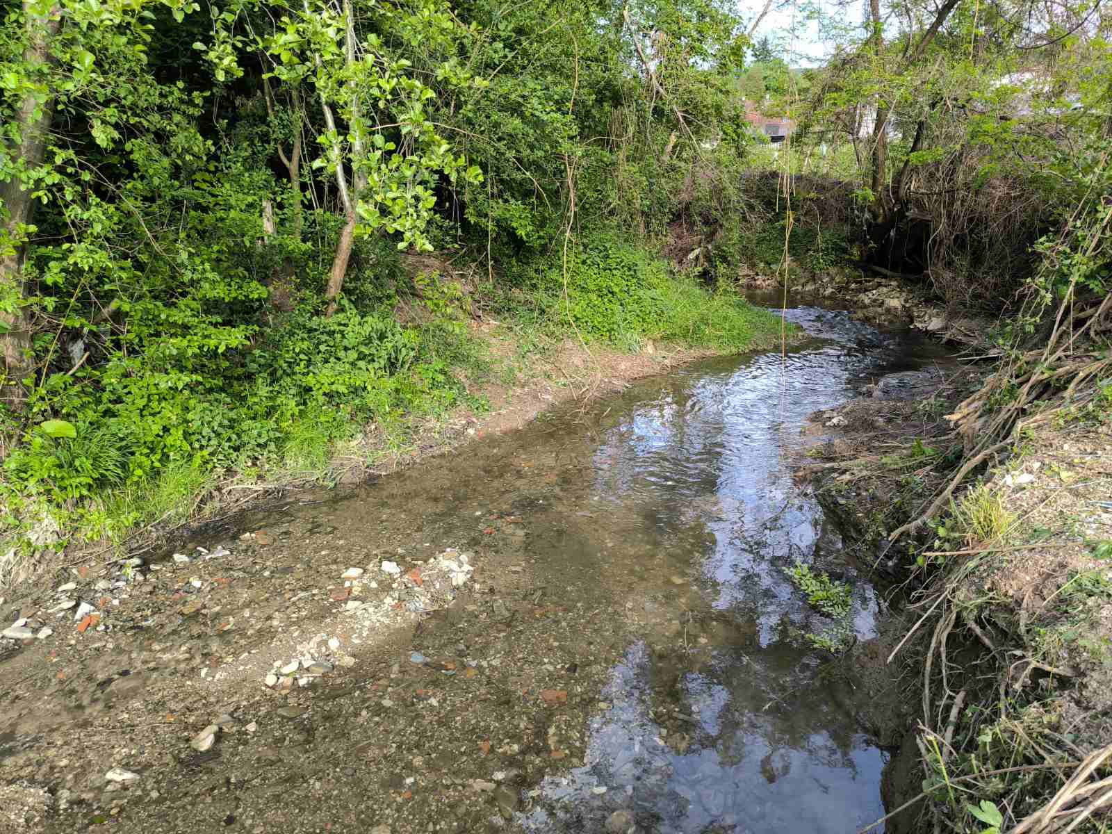 IMG-7446d45aeb5f8489e388bcffc5a2e2fd-V Zajedničkim snagama ka čistijoj Ivanjici: Počelo uređenje zelenih površina i uklanjanje divljih deponija (VIDEO)
