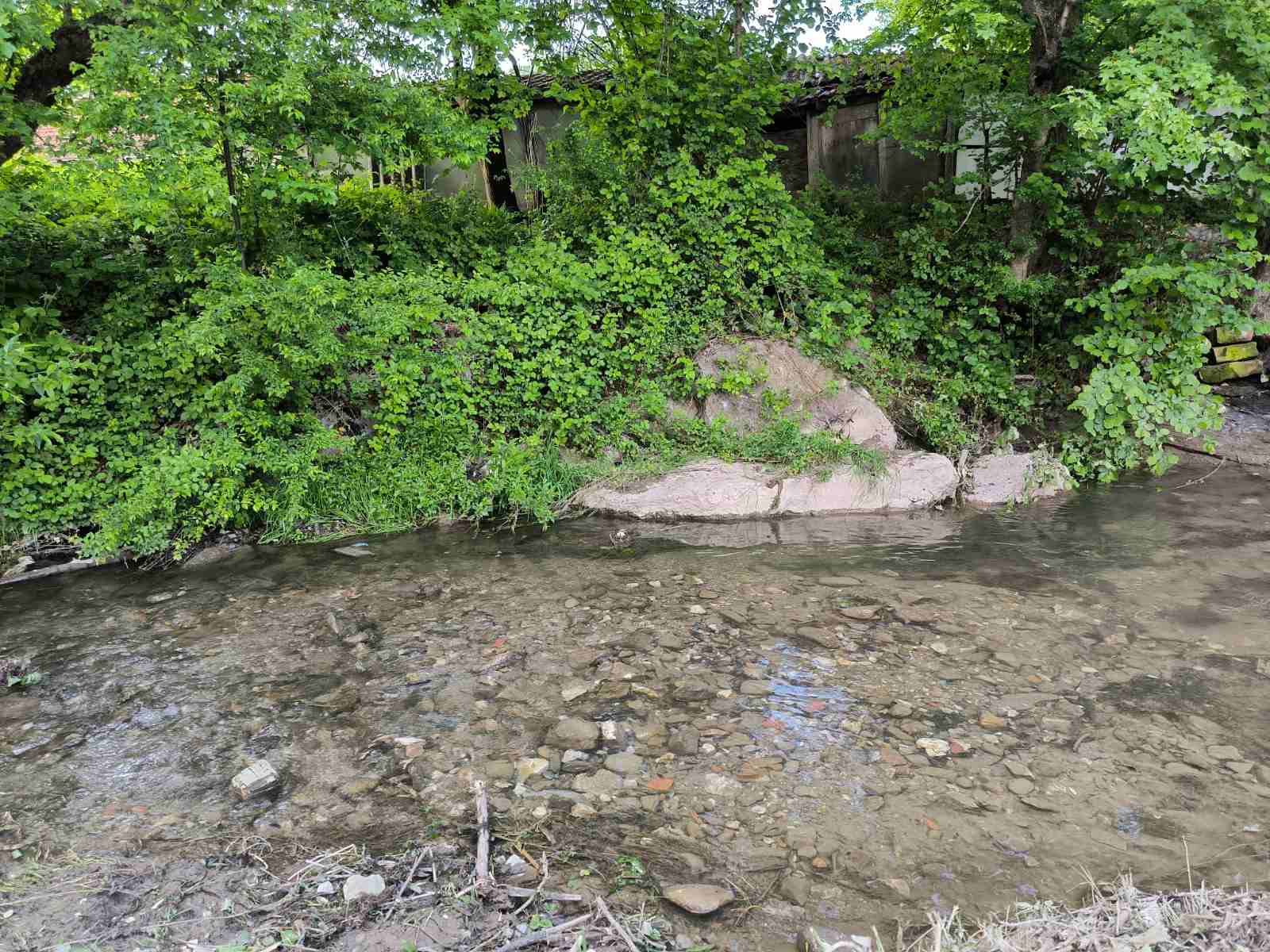 IMG-beb100c8bd4192be24ce803d71ab5c3b-V Zajedničkim snagama ka čistijoj Ivanjici: Počelo uređenje zelenih površina i uklanjanje divljih deponija (VIDEO)