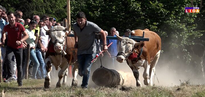 IL-Seoski-Viseboj-Ojkovica Rabаdžije pokazale snagu na Žabljaku – otvorena sezona nadmetanja u vuči trupaca (VIDEO)