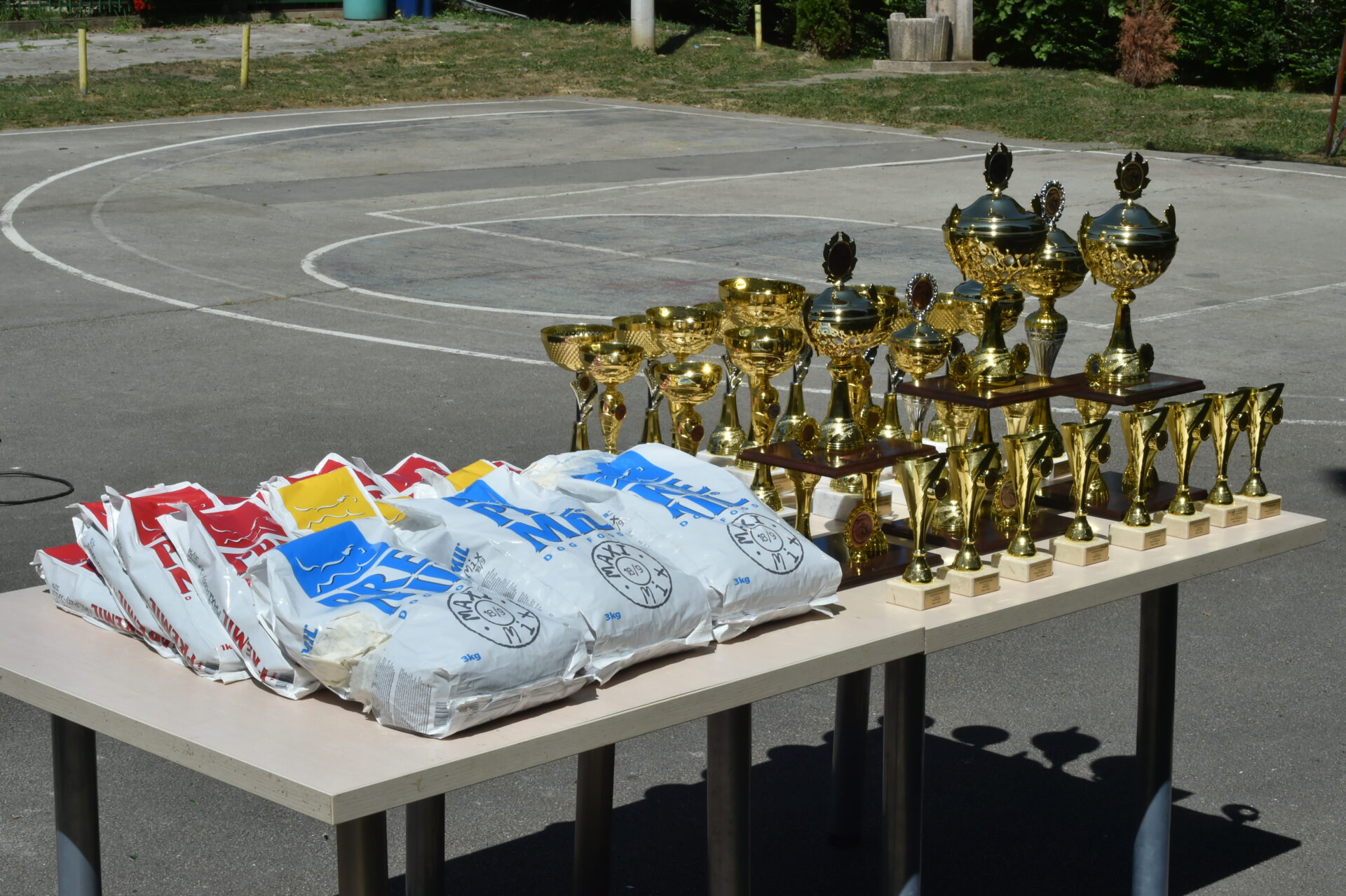 NEM_6556 Srpski žuti gonič Arkan – šampion izložbe pasa u Ivanjici!