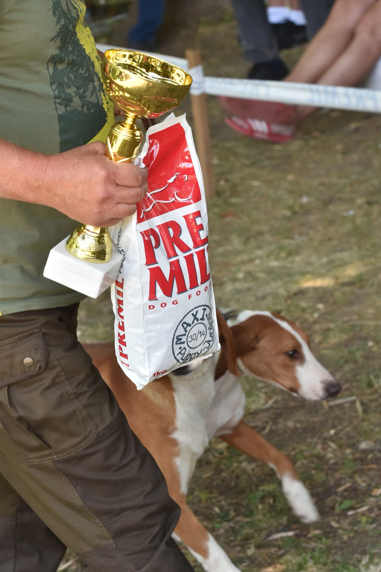 NEM_6715 Srpski žuti gonič Arkan – šampion izložbe pasa u Ivanjici!