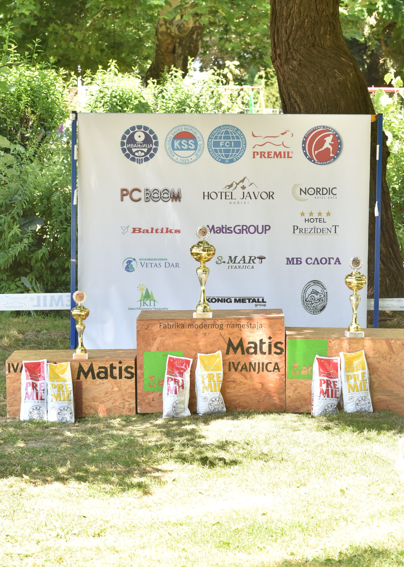 NEM_6730 Srpski žuti gonič Arkan – šampion izložbe pasa u Ivanjici!