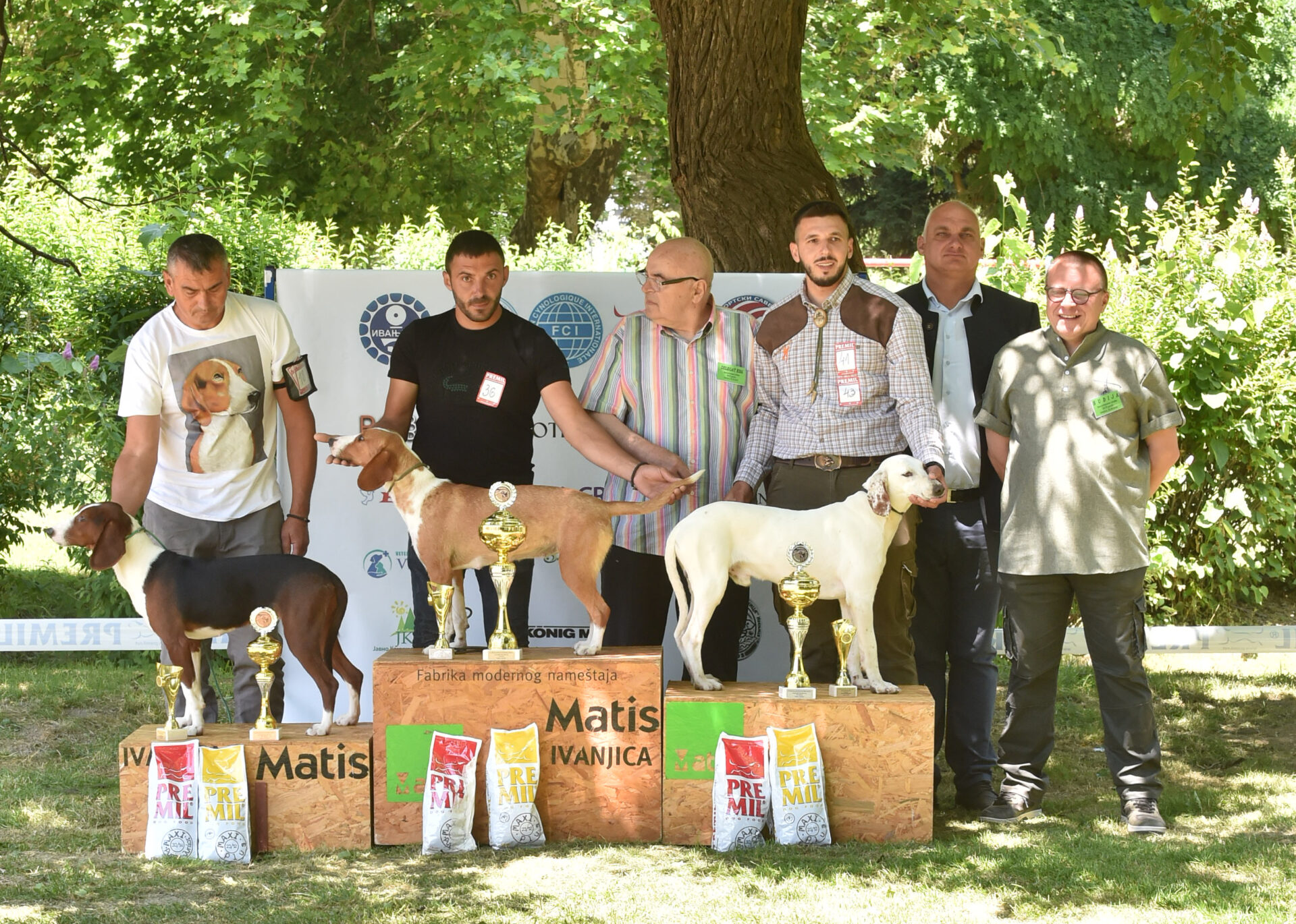 NEM_6736 Srpski žuti gonič Arkan – šampion izložbe pasa u Ivanjici!