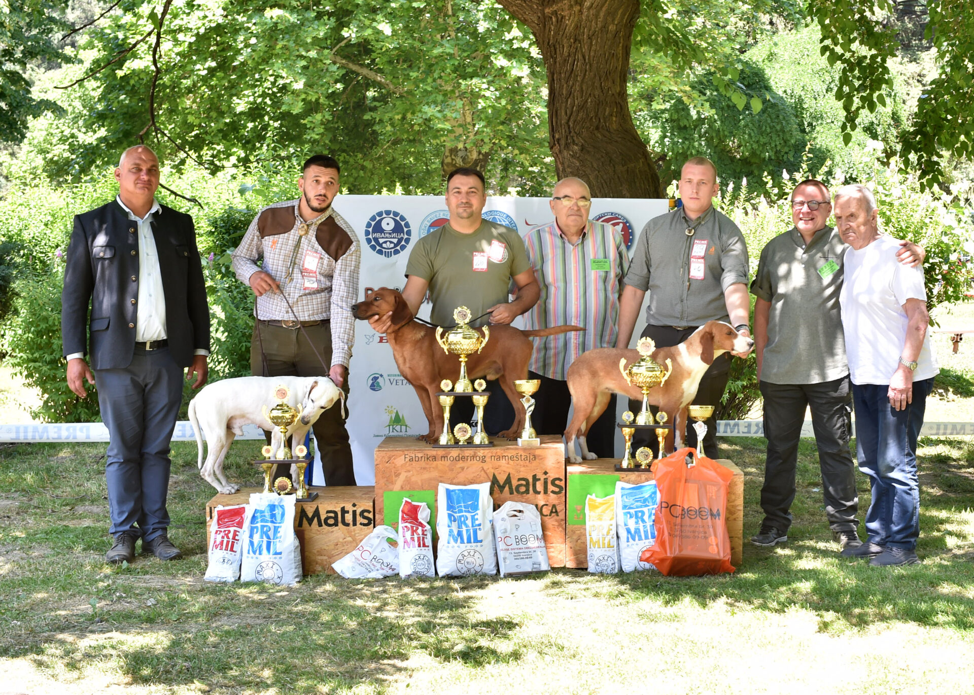 NEM_6753 Srpski žuti gonič Arkan – šampion izložbe pasa u Ivanjici!