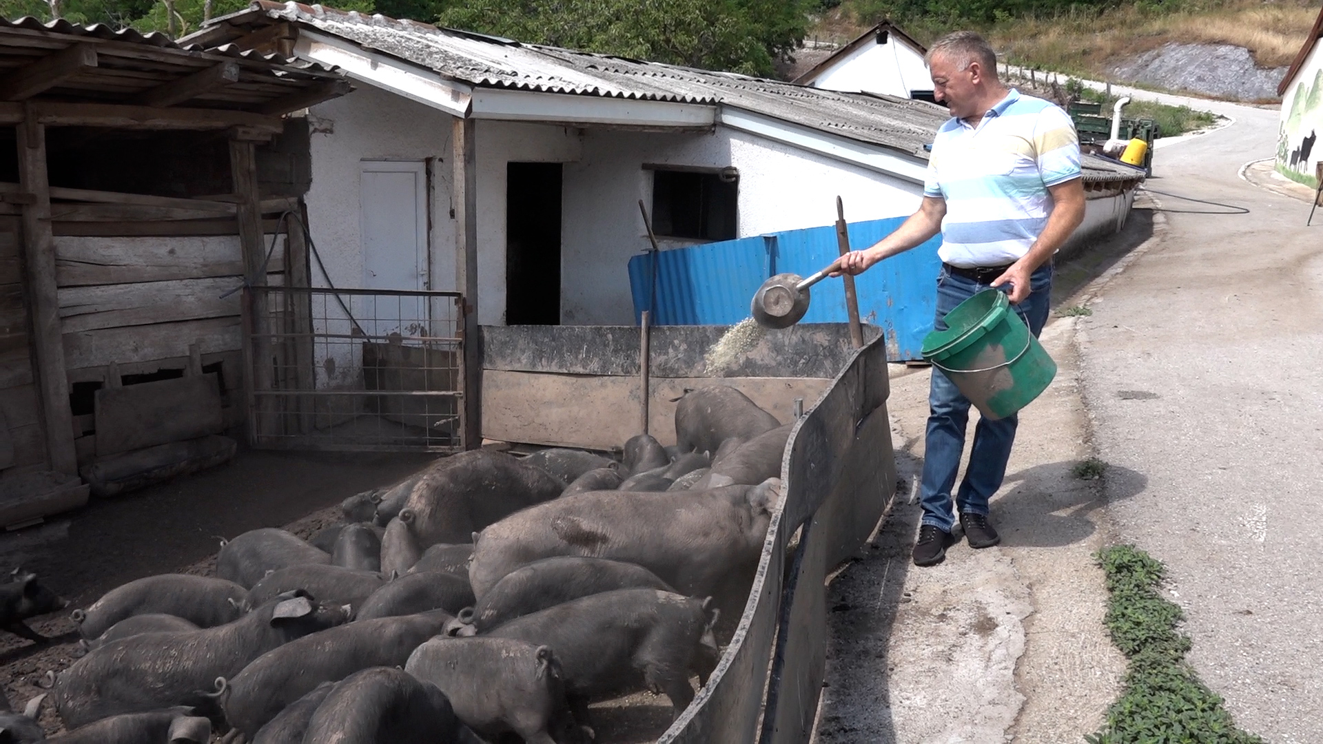 01621.MTS_.00_00_04_10.Still001 Goran iz Brezovica napravio uspešnu priču od Moravki i porodičnog rada (VIDEO)