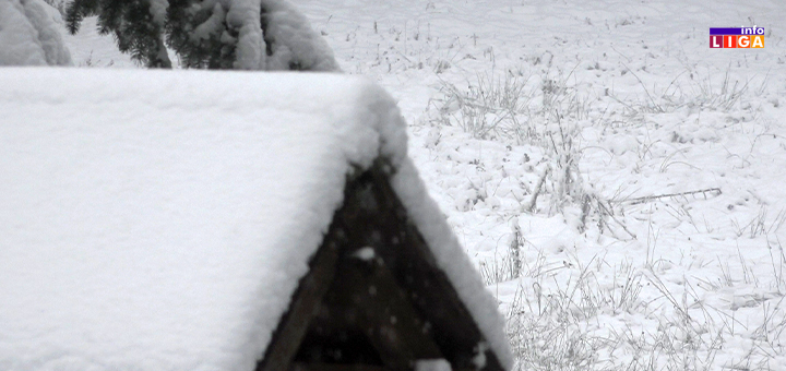 IL-sneg-krov Pao prvi sneg na Goliji, putevi prohodni uz obaveznu zimsku opremu (VIDEO)
