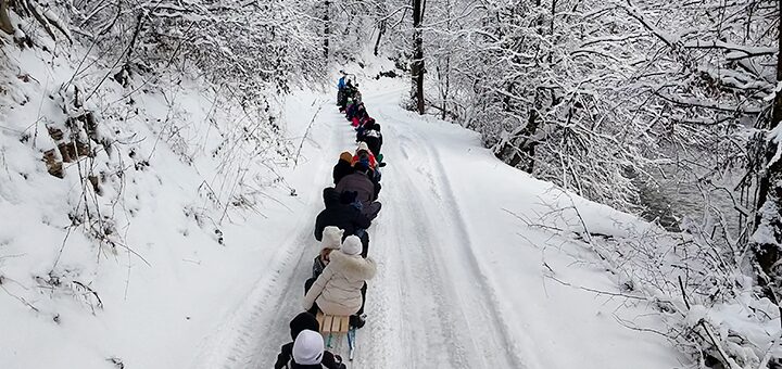 IL-Kolona-sanki-Radaljevo-Ivanjica Beskrajna kolona veselih lica, rumenih obraza i crvenih nosića-bajka koja krasi Radaljevo (VIDEO)