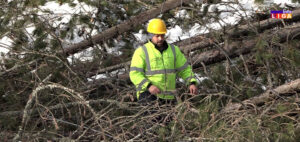 IL-Struja-ELEKTRODISTRIBUCIJA--300x142 IL - Struja ELEKTRODISTRIBUCIJA