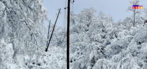 IL-sneg-struja-dalekovod-300x142 IL-sneg struja dalekovod